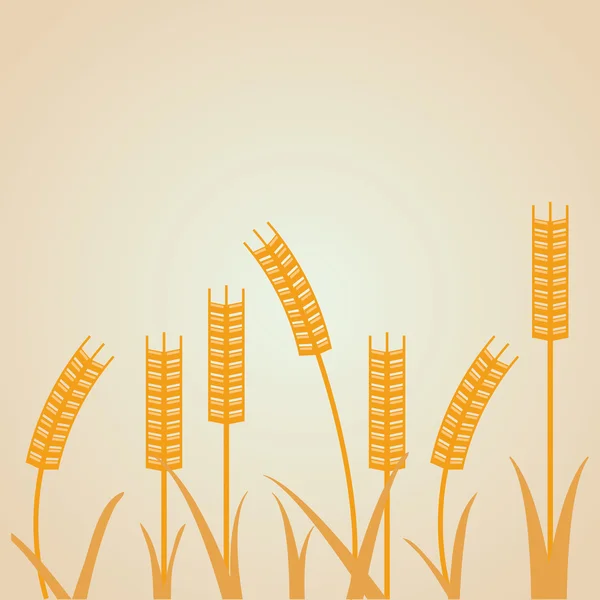 Icono de trigo. diseño de grano. Concepto agrícola — Vector de stock