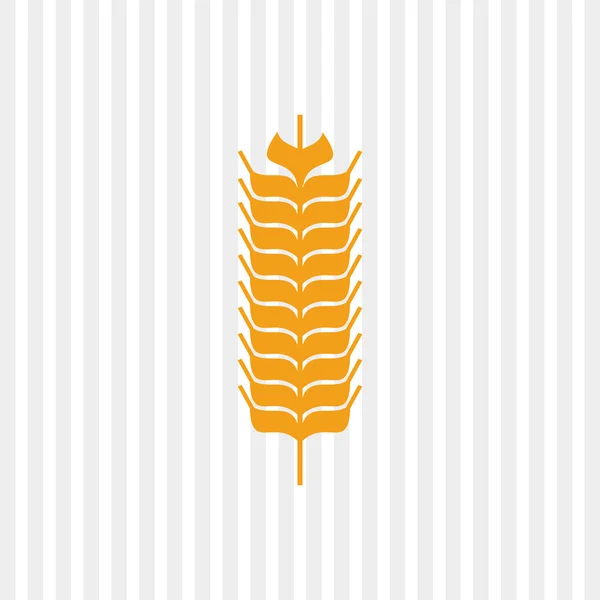 Ikona pszenicy. projekt ziarno. Koncepcja rolnictwa — Wektor stockowy