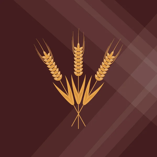 Ikona pszenicy. projekt ziarno. Koncepcja rolnictwa — Wektor stockowy
