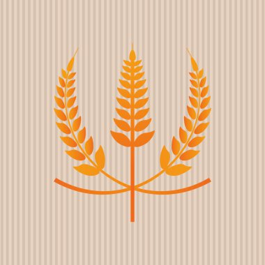 Buğday simgesi. tahıl tasarım. Tarım kavramı