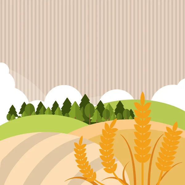 Піктограма пшениці. ландшафтний дизайн. Концепція сільського господарства — стоковий вектор