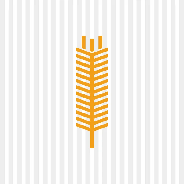 Wheat icon. grain design. Agriculture concept — Stock Vector