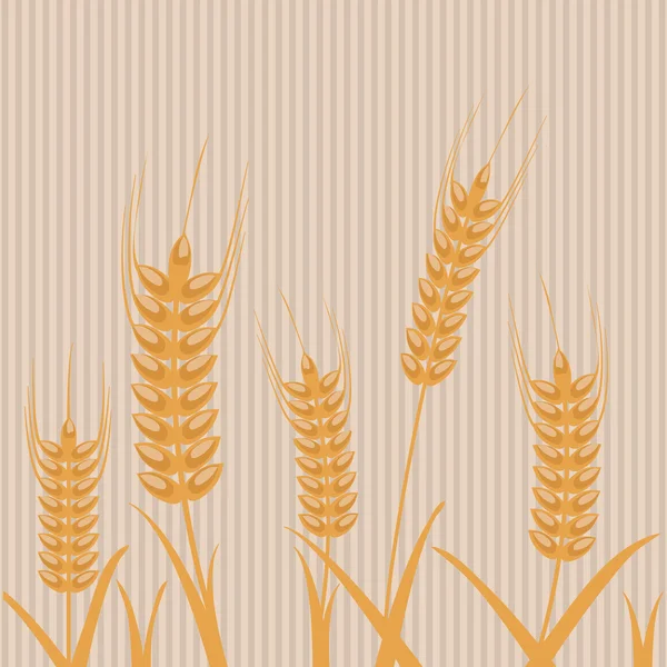 Icône blé. conception de grain. Concept d'agriculture — Image vectorielle