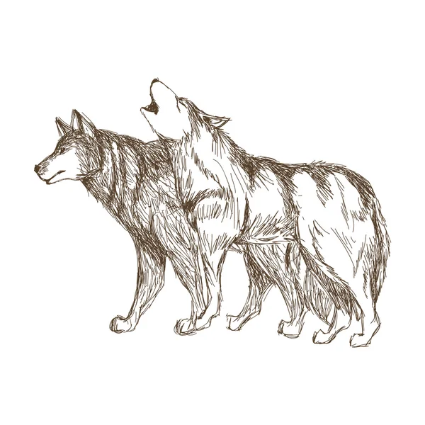 Wolfsdesign. Animal Concept.Wildlife Tier, Vektorillustration — Stockvektor