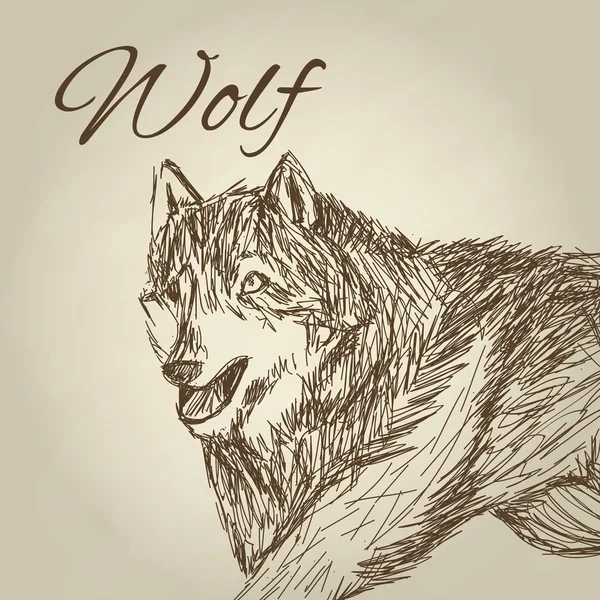 Wolfsdesign. Animal Concept.Wildlife Tier, Vektorillustration — Stockvektor