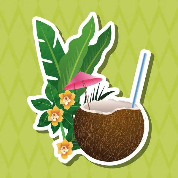 Tropical design. flower concept. coconut icon — Stock Vector