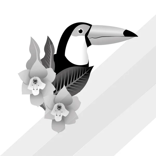 Wystroju tropikalnym. koncepcja ptak. ikona natura — Wektor stockowy