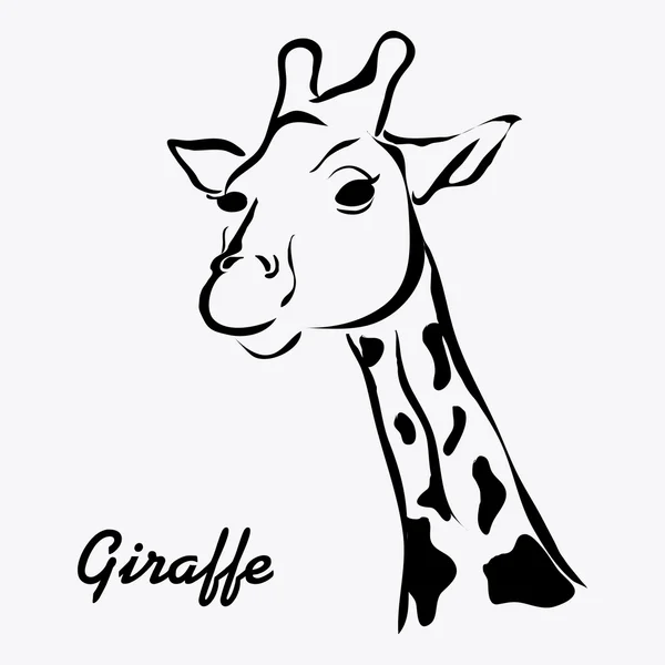 Giraff-ikonen. Animal design. Safari koncept — Stock vektor