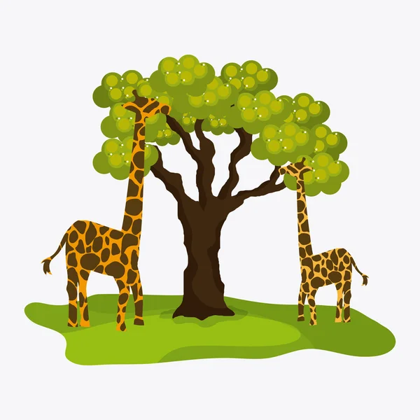 Ícone de girafa. Desenho animal. Conceito de Safari — Vetor de Stock