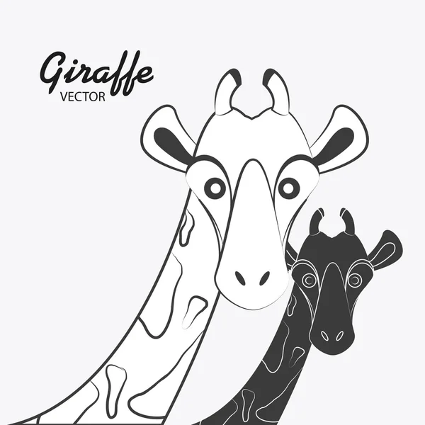Giraffe icon. Animal design. Safari concept — Stock Vector