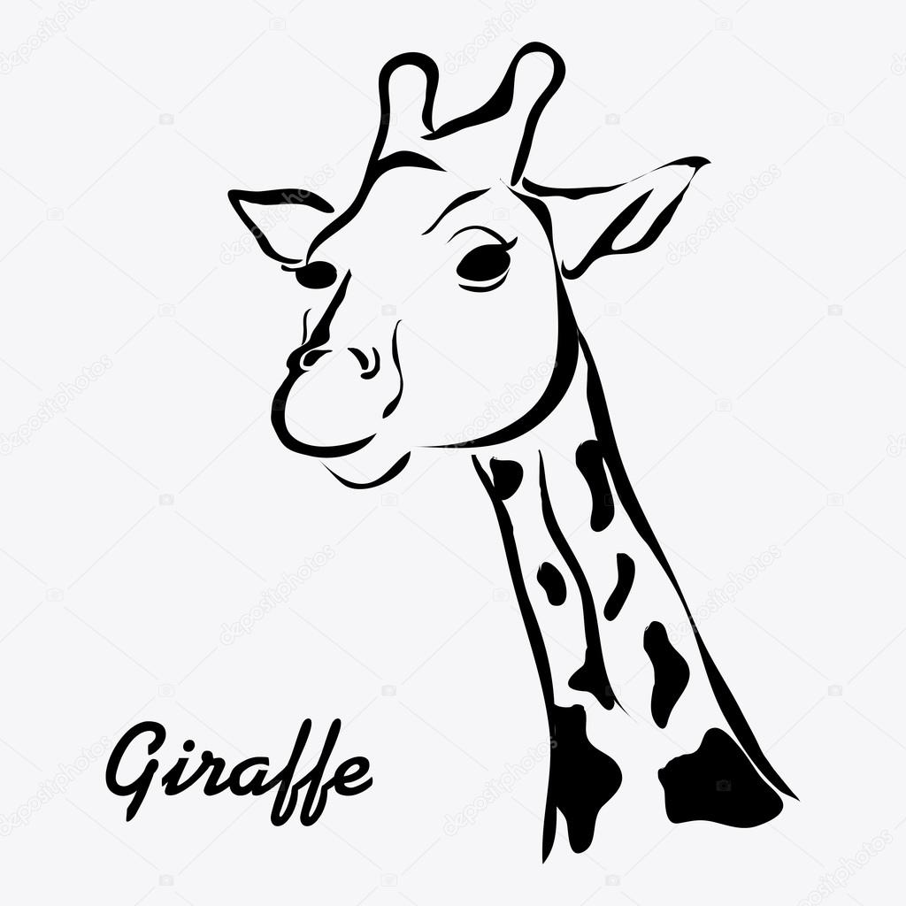 Giraffe icon. Animal design. Safari concept Stock Vector by ©jemastock ...