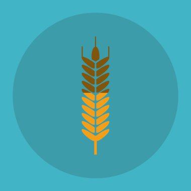 Buğday simgesi. tahıl tasarım. Tarım kavramı