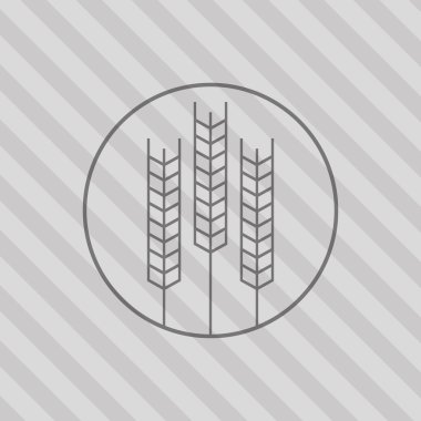 Buğday simgesi. tahıl tasarım. Tarım kavramı