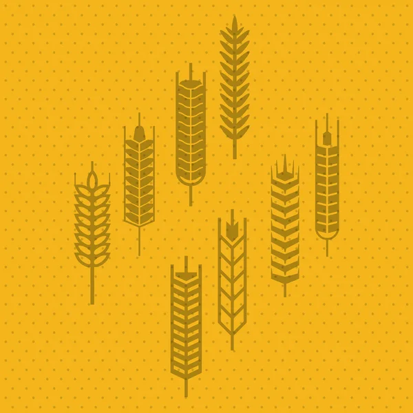 Wheat icon. grain design. Agriculture concept — Stock Vector