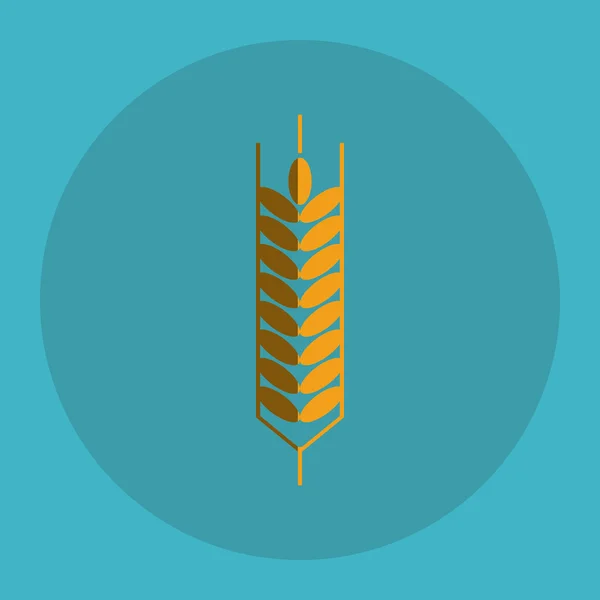 Weizen. Korndesign. Landwirtschaftskonzept — Stockvektor