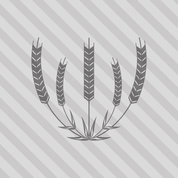 Icono de trigo. diseño de grano. Concepto agrícola — Archivo Imágenes Vectoriales