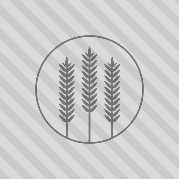 小麦のアイコン。穀物の設計。農業の概念 — ストックベクタ