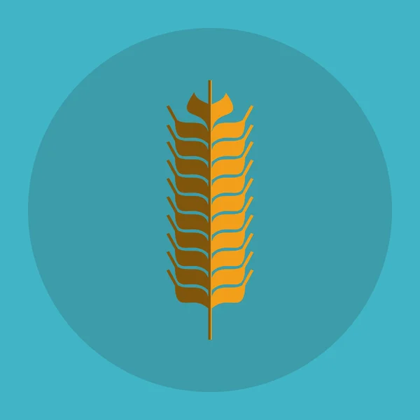 Εικονίδιο σιτάρι. σχέδιο σιταριού. Έννοια της γεωργίας — Διανυσματικό Αρχείο