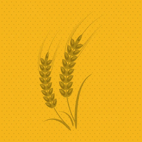 小麦のアイコン。穀物の設計。農業の概念 — ストックベクタ
