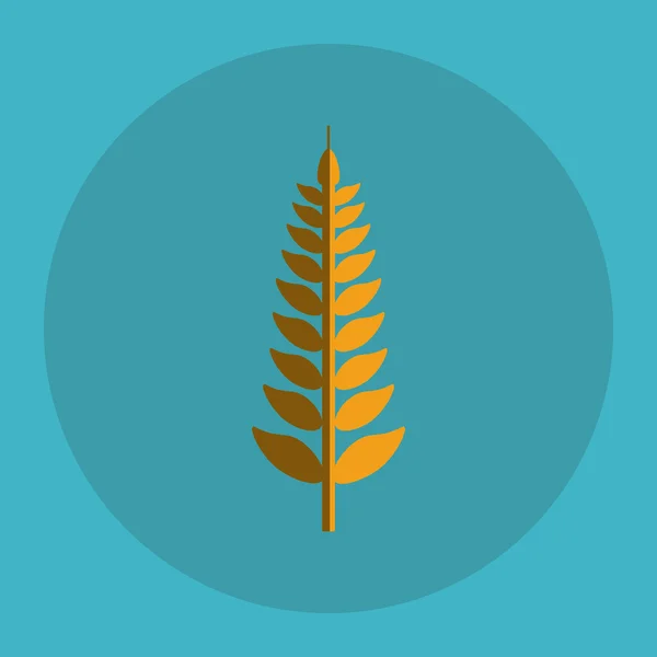 Icono de trigo. diseño de grano. Concepto agrícola — Vector de stock