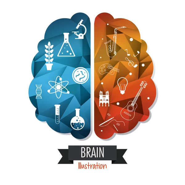 Hjärnan design. Sinne koncept. Vit bakgrund, redigerbara vektor — Stock vektor