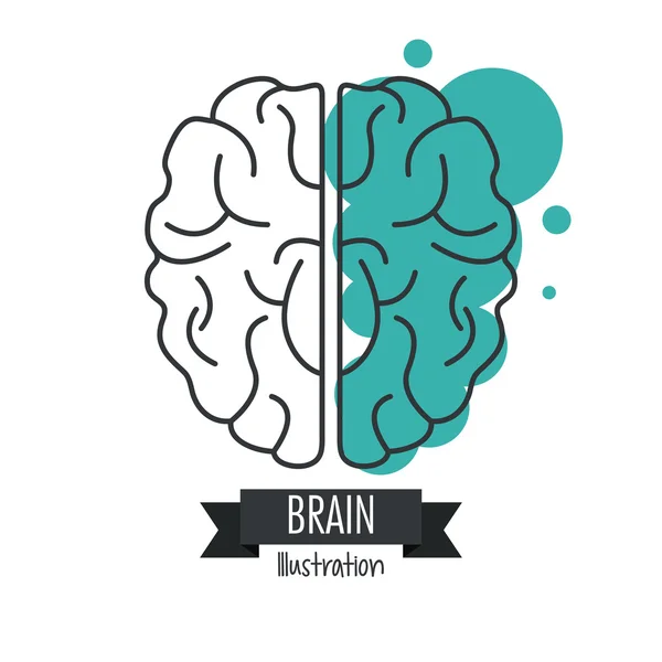 Brain design. Mind concept. White background , editable vector — Stock Vector