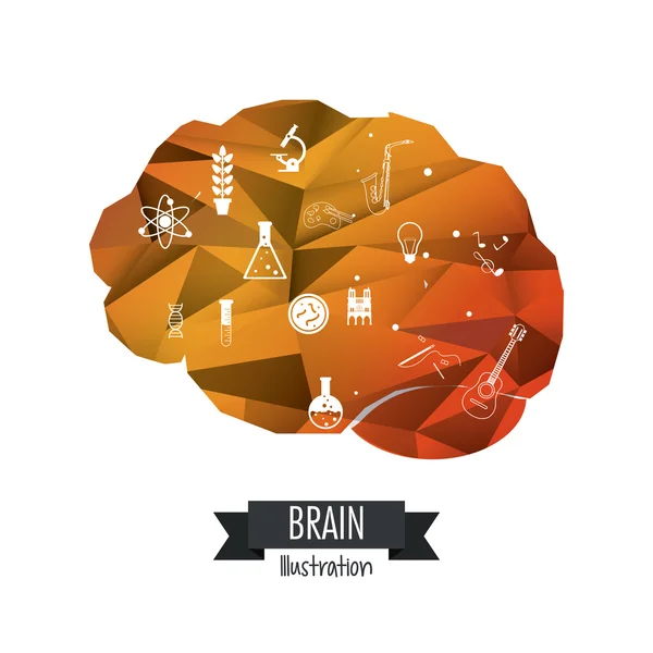 Дизайн мозку. Концепція розуму. Білий фон, змінений вектор — стоковий вектор
