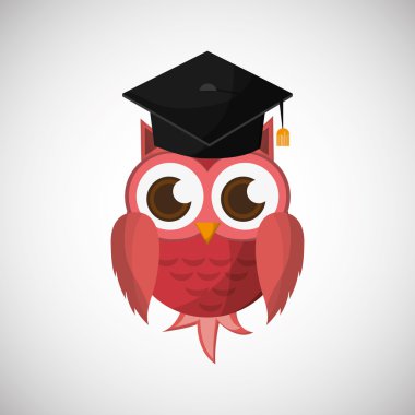 Hayvan tasarımı. baykuş simgesi. İzole illüstrasyon, vektör