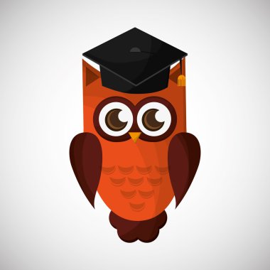 Hayvan tasarımı. baykuş simgesi. İzole illüstrasyon, vektör