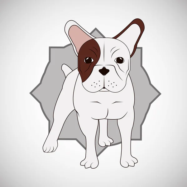 Zvířecí design. Francouzská bull pes ikonu. Izolované ilustrace, vektor — Stockový vektor