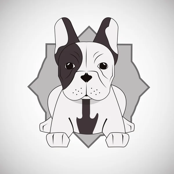 Desenho animal. Ícone de cão de touro francês. Ilustração isolada, vetor — Vetor de Stock