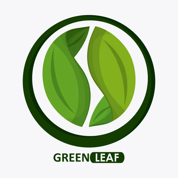 Grön design. Leaf ikon. Vit bakgrund, grafisk vector — Stock vektor