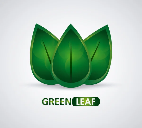 Green design. leaf icon. White background, graphic vector — Stock Vector