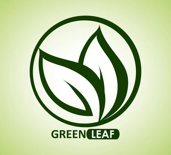 Зеленый дизайн. Leaf icon. Белый фон, графический вектор — стоковый вектор