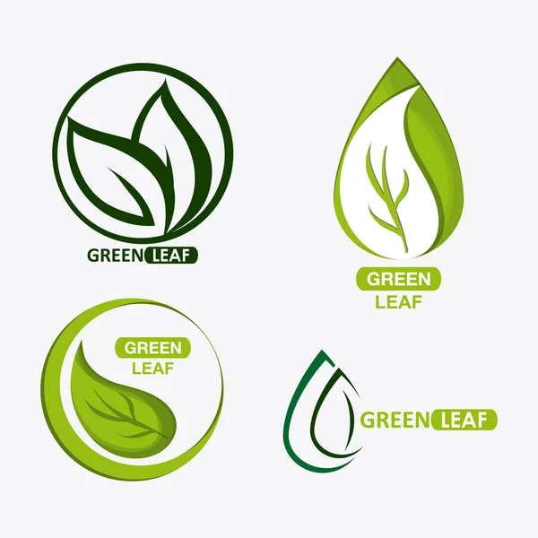 Uppsättning av gröna leves design. natur-ikonen. Vit bakgrund, grafisk vector — Stock vektor