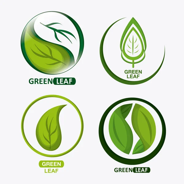 Set of green leves design. nature icon. White background, graphic vector — Stock Vector