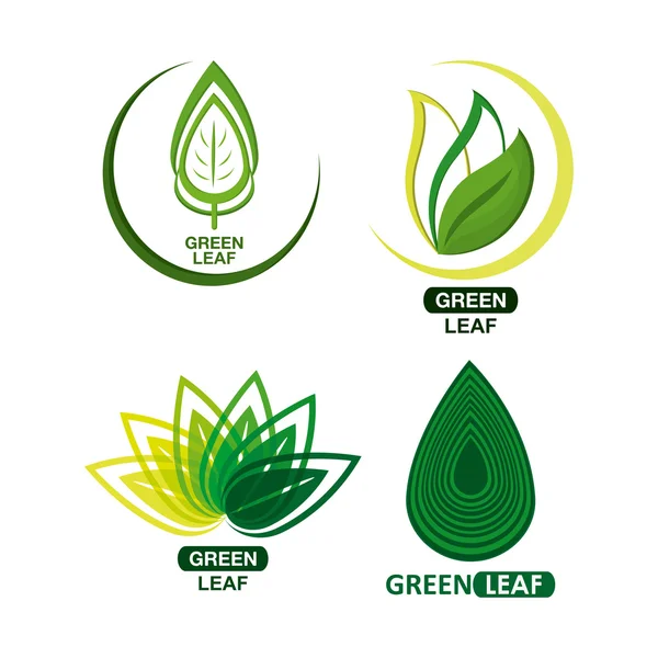 Set von grünen Blättern Design. Natur-Ikone. weißer Hintergrund, grafischer Vektor — Stockvektor