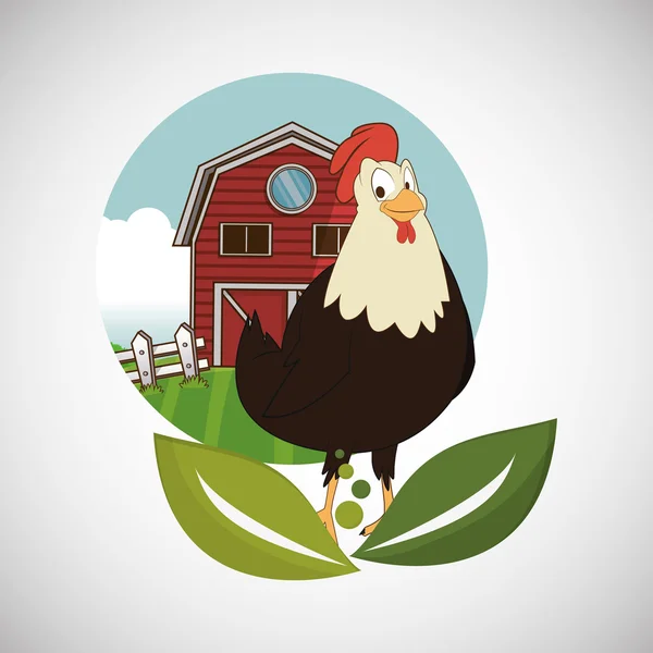 Animal design. rooster icon. Isolated illustration, white backgr — Stock Vector