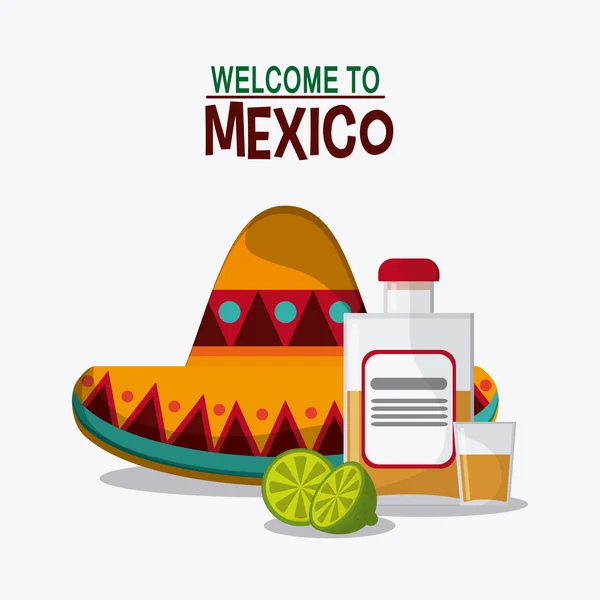 Design mexicain. icône de la culture. Illustration colorée, grap vectoriel — Image vectorielle