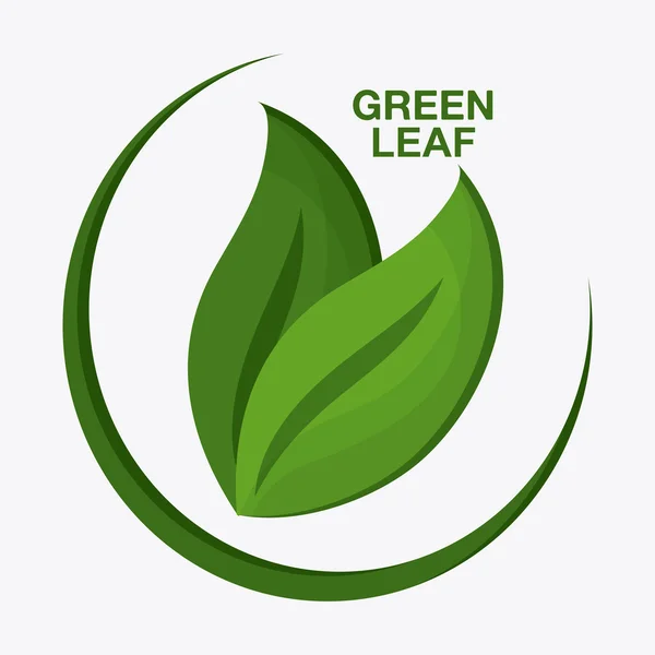 Grünes Design. Blatt-Ikone. weißer Hintergrund, grafischer Vektor — Stockvektor