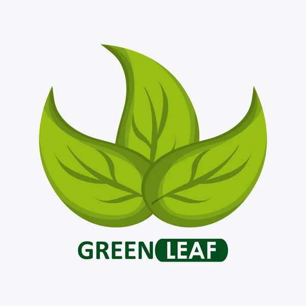 Grön design. Leaf ikon. Vit bakgrund, grafisk vector — Stock vektor