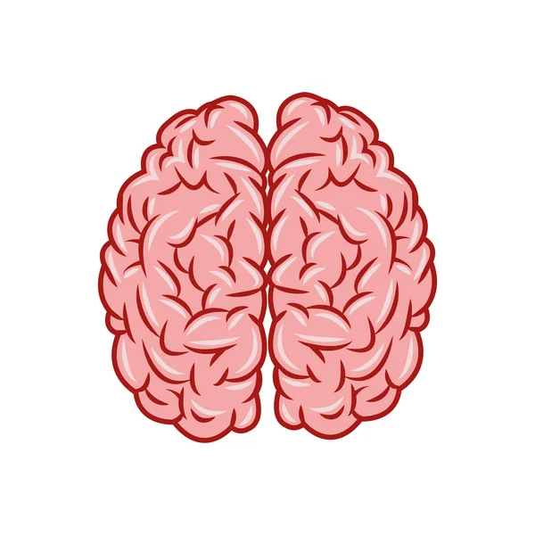 Diseño cerebral. icono del órgano. Ilustración plana, gráfico vectorial — Vector de stock