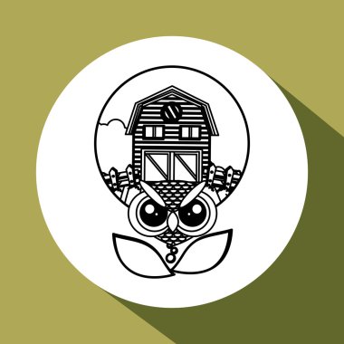 Hayvan tasarımı. baykuş simgesi. İzole illüstrasyon, beyaz arka plan