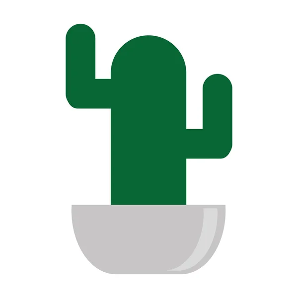 Kaktus i kruka, vektor illustration — Stock vektor