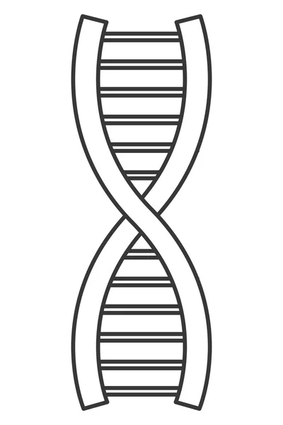 DNA iplik simgesi — Stok Vektör
