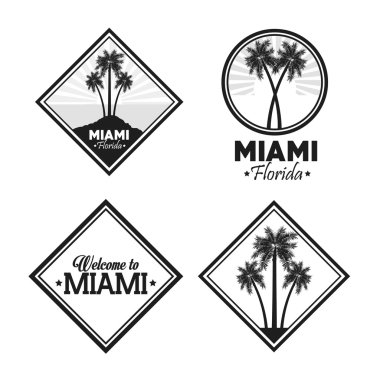 Palmiye ağacı simgesi. Miami Florida tasarım. Vektör grafiği