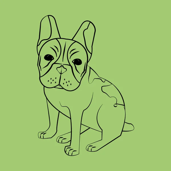 Diseño animal. icono del perro toro francés. Ilustración aislada, vector — Vector de stock