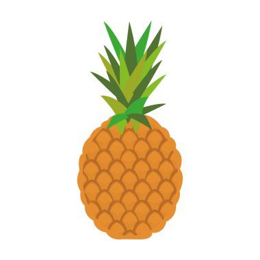 renkli ananas simgesi