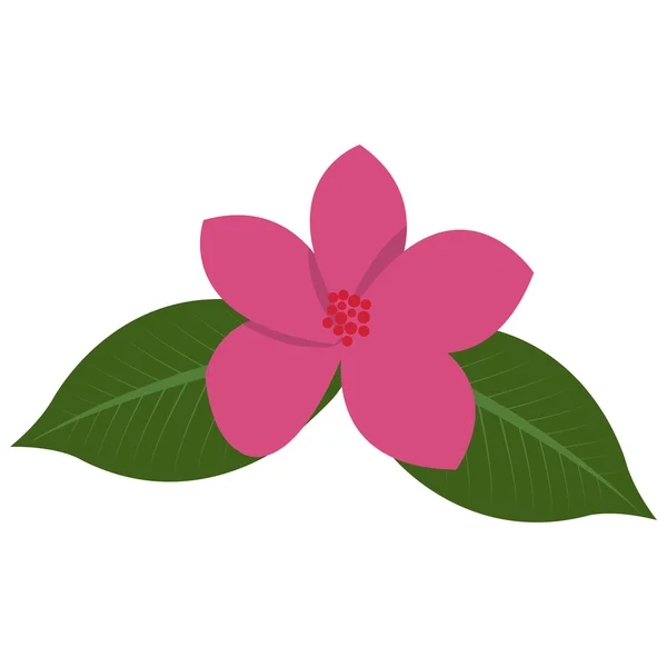 Икона тропических цветов — стоковый вектор