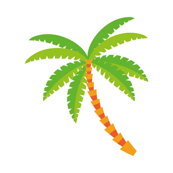 Palm tree icon — Stock Vector